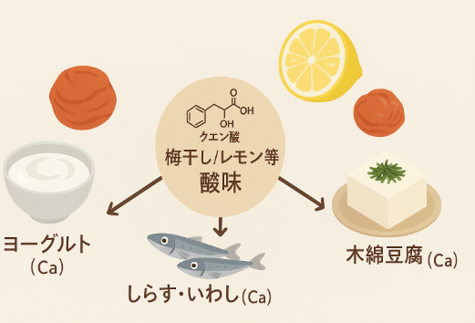 食べ合わせの知恵